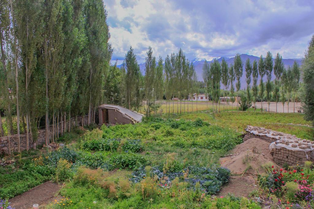 Tsetan Guest House Leh Exterior photo